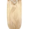 Light Ash Blonde (#22) Double Drawn Seamless Clip In Hair Extensions