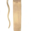 Light Ash Blonde (#22) Straight Up Wrap Around Ponytail Extension