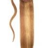 Cinnamon Swirl (#27/30) Straight Up Wrap Around Ponytail Extension
