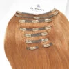 Autumn Spice (#30B) Ultra-Volume Clip In Full Head Set (240-300G)