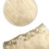 Lightest Blonde (#60) One Piece Clip In Hair Extensions (Top-Up)