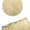 Creamy Blonde (#22/613) One Piece Clip In Hair Extensions (Top-Up)