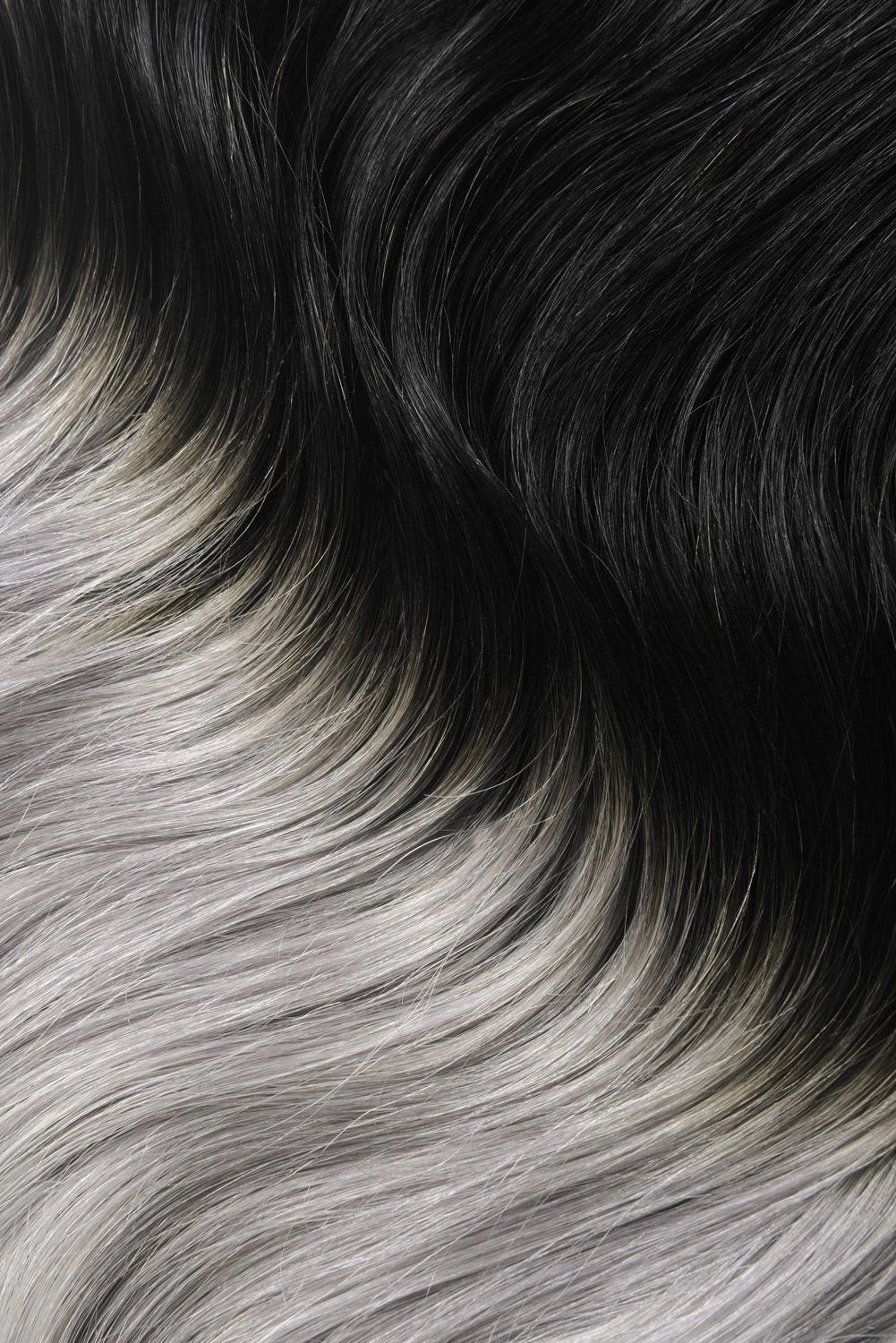 Double Wefted Full Head Remy Clip In Human Ombre Hair Extensions - Silver Black Ombre (#T1B/SG) - Image 3