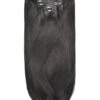 Natural/Off Black (#1B) Double Drawn Seamless Clip In Hair Extensions