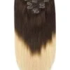 Double Wefted Full Head Remy Clip In Human Hair Extensions - Espresso Honey Ombre (#T2/27)