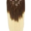 Full Head Remy Clip In Human Hair Extensions - Ombre (#T4/613)