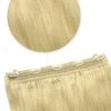 Light Ash Blonde (#22) Quad Weft Clip In One Piece Hair Extensions